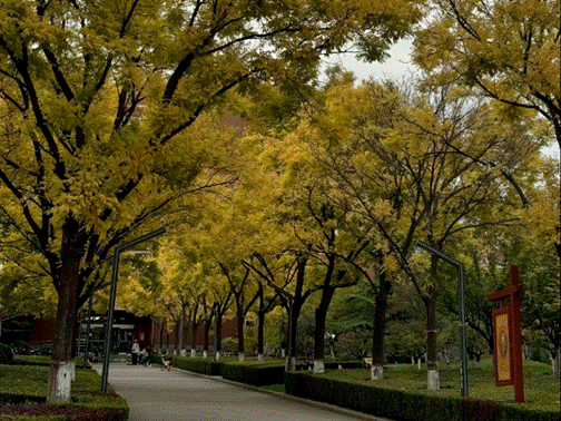 微信图片_20250423101847